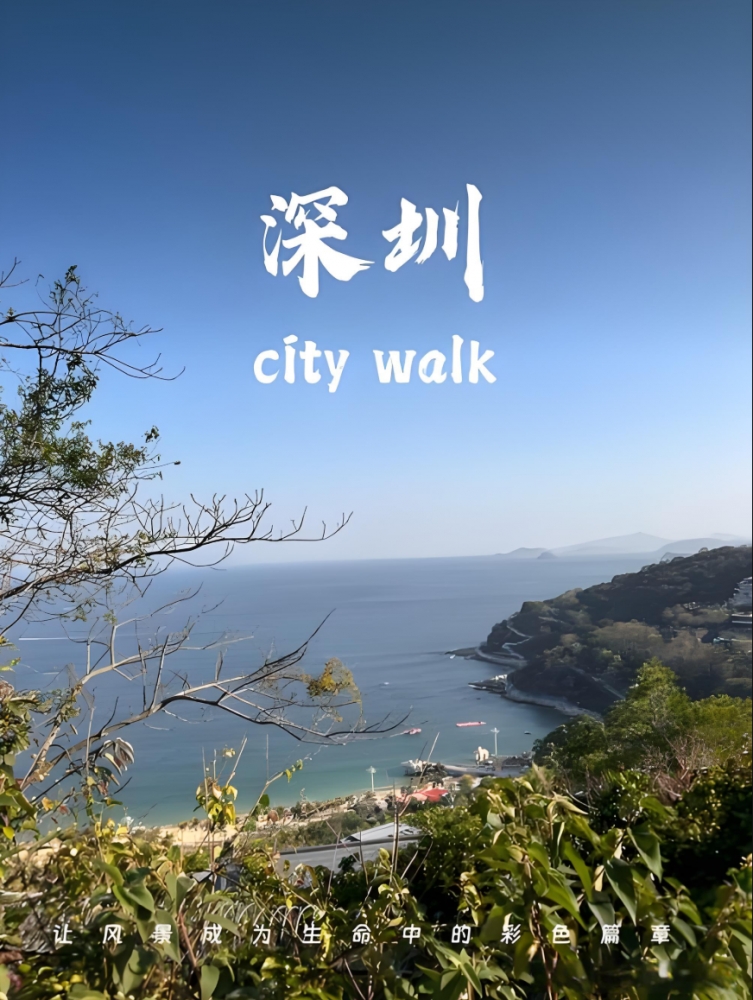 深圳3天都市漫游攻略：现代与传统的完美碰撞