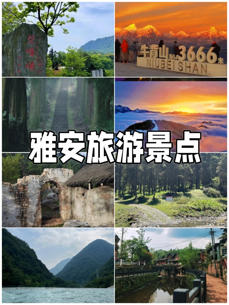 雅安5天深度旅游攻略：熊猫故乡与茶马古道的秘境之旅