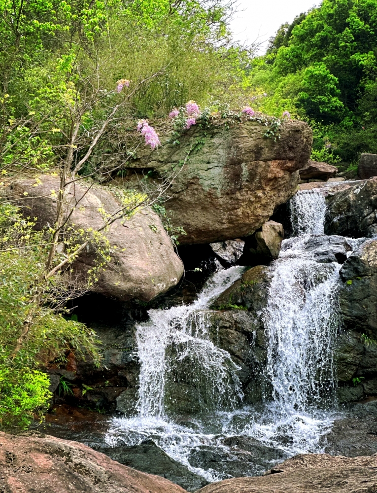 山海为媒,慈溪藏着爱情的模样