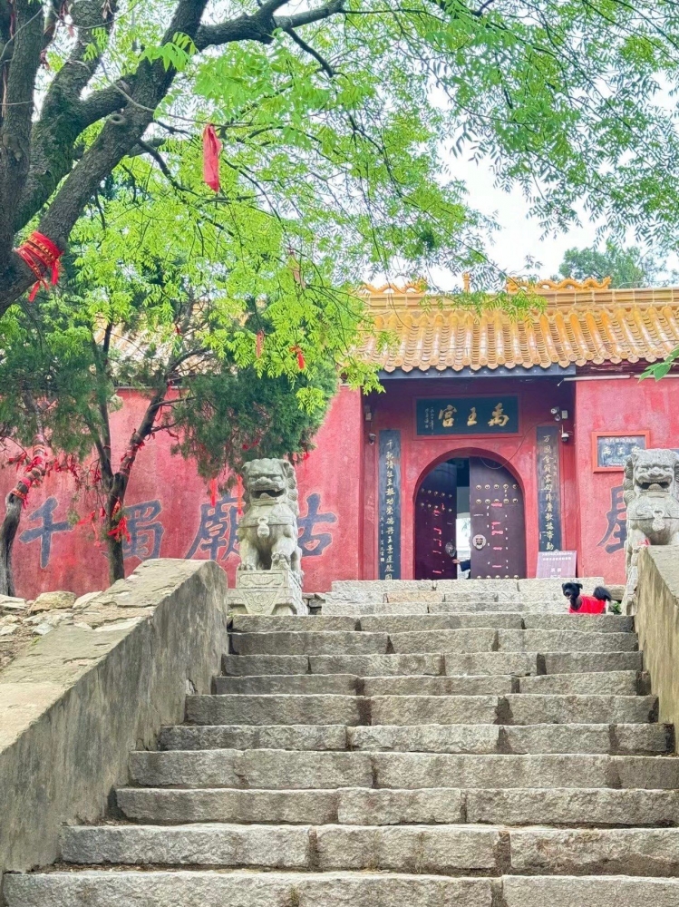 蚌埠五日旅游交友攻略:与陪游搭子共赴珠城,在山水烟火间邂逅情缘