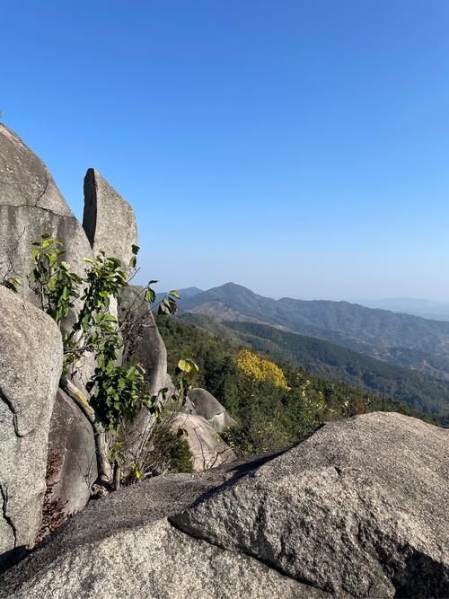 高安市旅游交友五日攻略：与伴游共赴千年古城，在烟火与诗意中邂逅缘分