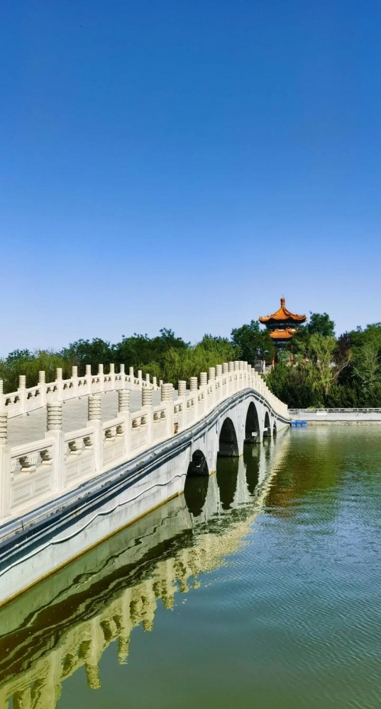 沧州五日沉浸式旅游交友攻略｜与合拍搭子同行，解锁狮城烟火与心动情缘