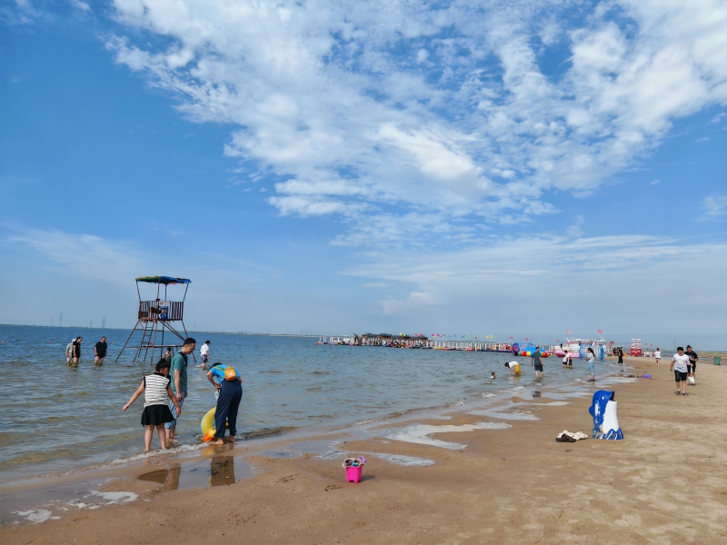 黄骅市5天深度旅游交友攻略｜伴游同行，邂逅渤海湾的心动缘分