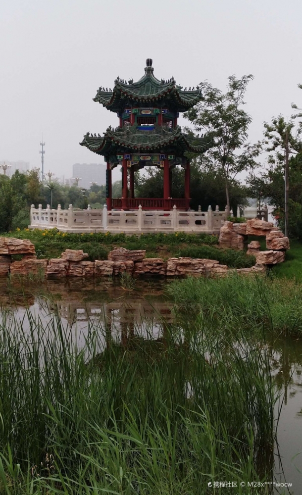 深州伴游五日行|以旅为媒,赴一场桃乡交友之约,解锁专属浪漫旅程