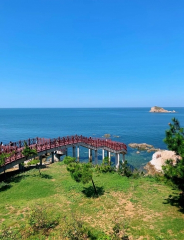 烟台山景区伴游陪游导游